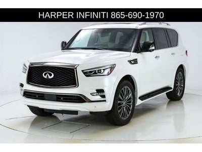 2024 INFINITI QX80 Sensory