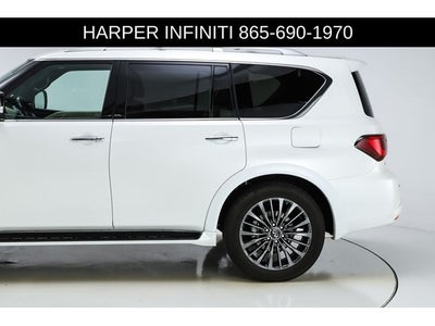 2024 INFINITI QX80 Sensory