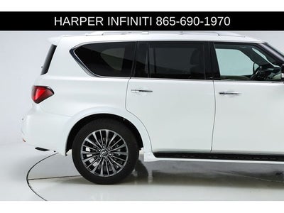 2024 INFINITI QX80 Sensory