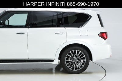 2024 INFINITI QX80 Sensory