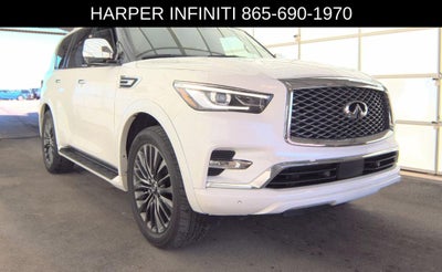 2024 INFINITI QX80 Sensory