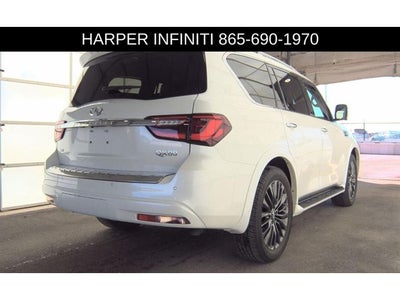 2024 INFINITI QX80 Sensory