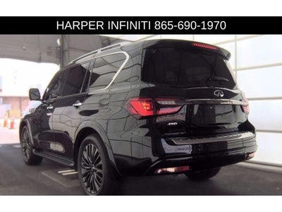 2024 INFINITI QX80 Sensory