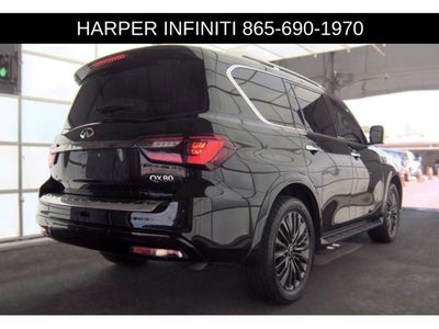 2024 INFINITI QX80 Sensory