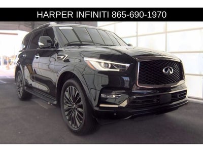 2024 INFINITI QX80 Sensory