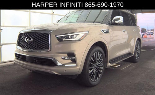 2023 INFINITI QX80 Sensory