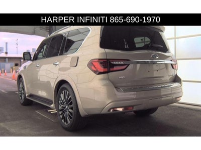 2023 INFINITI QX80 Sensory