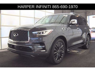 2023 INFINITI QX80 Sensory