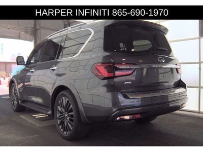 2023 INFINITI QX80 Sensory