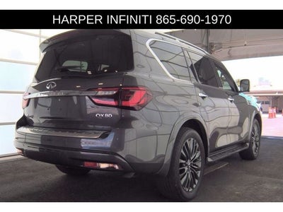 2023 INFINITI QX80 Sensory