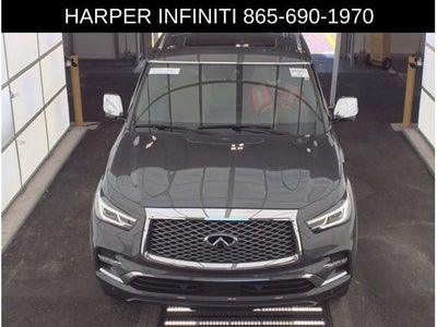 2023 INFINITI QX80 Sensory
