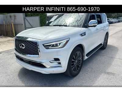 2023 INFINITI QX80 Sensory