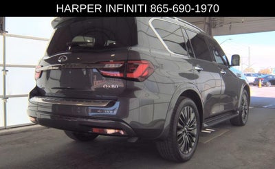 2024 INFINITI QX80 Sensory