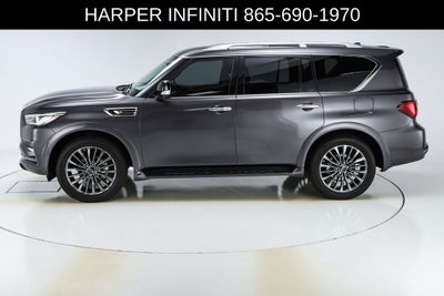 2024 INFINITI QX80 Sensory
