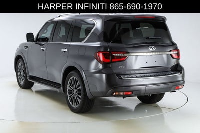 2024 INFINITI QX80 Sensory