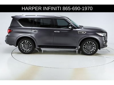 2024 INFINITI QX80 Sensory