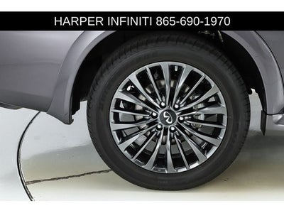 2024 INFINITI QX80 Sensory