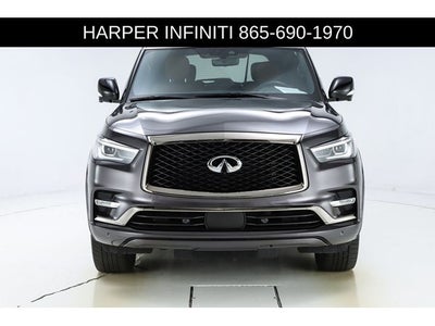 2024 INFINITI QX80 Sensory