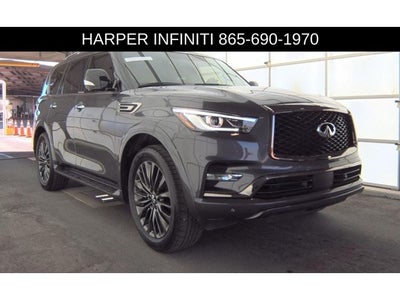 2024 INFINITI QX80 Sensory