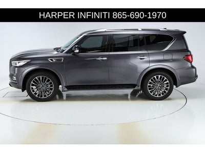 2024 INFINITI QX80 Sensory