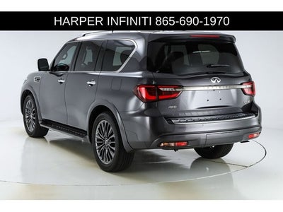 2024 INFINITI QX80 Sensory