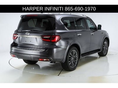 2024 INFINITI QX80 Sensory
