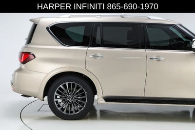 2023 INFINITI QX80 Sensory
