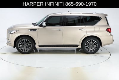 2023 INFINITI QX80 Sensory