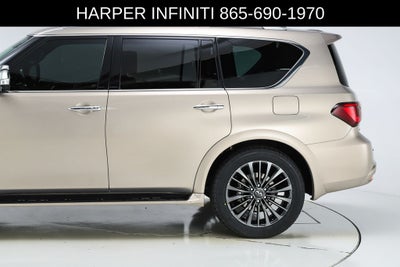 2023 INFINITI QX80 Sensory