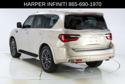 2023 INFINITI QX80 Sensory
