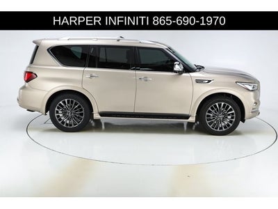 2023 INFINITI QX80 Sensory