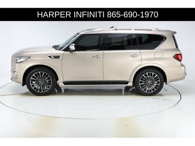 2023 INFINITI QX80 Sensory