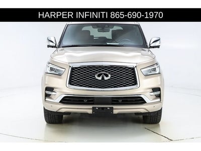 2023 INFINITI QX80 Sensory