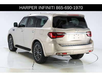 2023 INFINITI QX80 Sensory