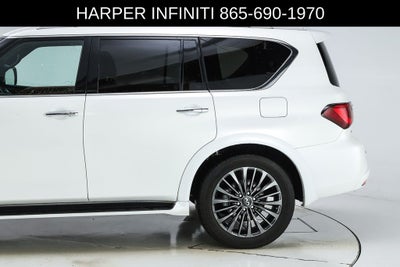 2024 INFINITI QX80 Sensory