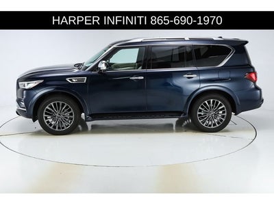 2024 INFINITI QX80 Sensory