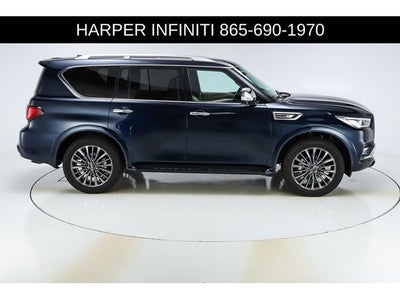 2024 INFINITI QX80 Sensory