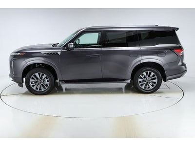2026 INFINITI QX80 PURE