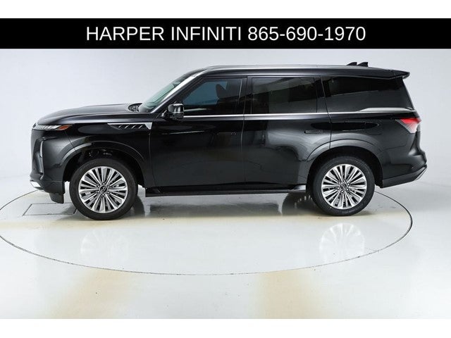 2025 INFINITI QX80 LUXE