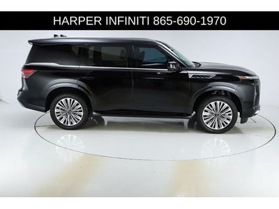 2025 INFINITI QX80 LUXE