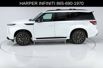 2026 INFINITI QX80 SPORT