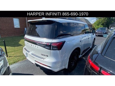 2026 INFINITI QX80 SPORT