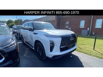 2026 INFINITI QX80 SPORT