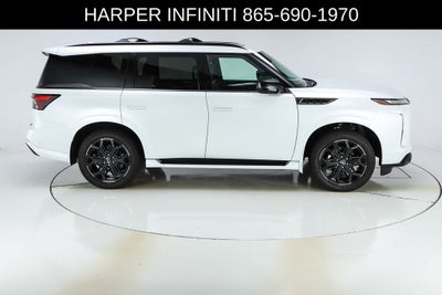 2026 INFINITI QX80 SPORT