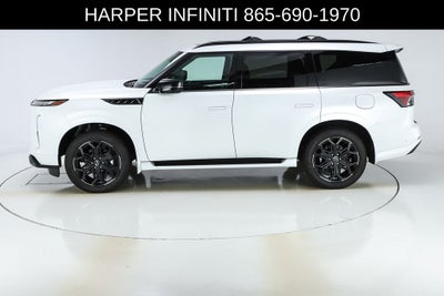 2026 INFINITI QX80 SPORT