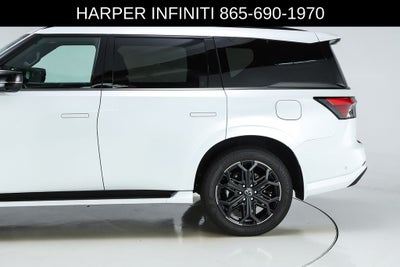2026 INFINITI QX80 SPORT