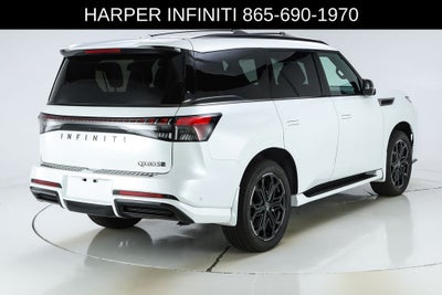 2026 INFINITI QX80 SPORT