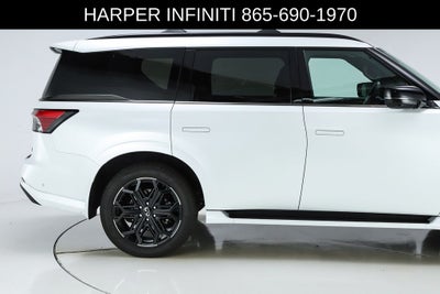 2026 INFINITI QX80 SPORT