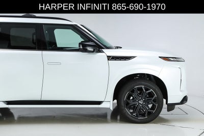 2026 INFINITI QX80 SPORT