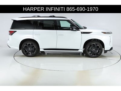 2026 INFINITI QX80 SPORT